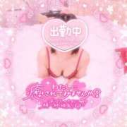 ヒメ日記 2025/04/07 14:01 投稿 いよ 奥様の実話 梅田店