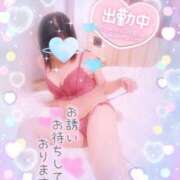 ヒメ日記 2025/04/13 11:26 投稿 いよ 奥様の実話 梅田店