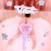 ヒメ日記 2025/04/14 13:32 投稿 いよ 奥様の実話 梅田店