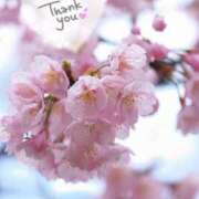 ヒメ日記 2025/04/30 23:18 投稿 いよ 奥様の実話 梅田店