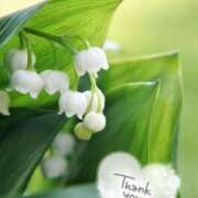 ヒメ日記 2025/05/31 23:00 投稿 いよ 奥様の実話 梅田店