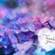 ヒメ日記 2025/06/30 23:15 投稿 いよ 奥様の実話 梅田店