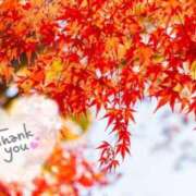 いよ 11月🍁感謝(ㅅ´꒳` )✨️ 奥様の実話 梅田店