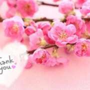 ヒメ日記 2026/03/31 22:00 投稿 いよ 奥様の実話 梅田店