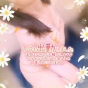 ヒメ日記 2026/05/04 12:55 投稿 いよ 奥様の実話 梅田店