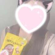 ヒメ日記 2025/01/11 01:14 投稿 のあ ビデオDEはんど 名古屋校