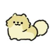 ヒメ日記 2025/08/13 01:00 投稿 のあ ビデオDEはんど 名古屋校