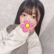 ヒメ日記 2025/01/07 12:41 投稿 さくの 静岡ハンパじゃない伝説