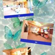 ヒメ日記 2025/08/25 15:19 投稿 あんな ダンシングおっぱいTEAM爆