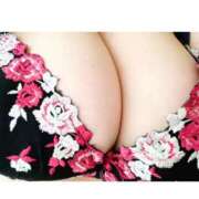 ヒメ日記 2025/04/11 13:56 投稿 えま 愛媛松山ちゃんこ