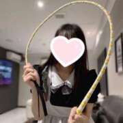 ヒメ日記 2024/12/09 11:59 投稿 リカお嬢様 M&m Maidとm男の夢物語。