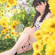 ヒメ日記 2024/12/09 07:45 投稿 ゆかり ニュー不夜城