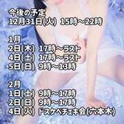 ヒメ日記 2024/12/29 07:57 投稿 ゆかり ニュー不夜城