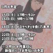 ヒメ日記 2025/03/08 08:08 投稿 ゆかり ニュー不夜城