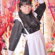 ヒメ日記 2025/04/03 23:46 投稿 ゆかり ニュー不夜城