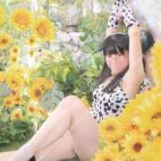 ヒメ日記 2025/04/13 20:34 投稿 ゆかり ニュー不夜城