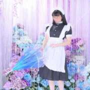 ヒメ日記 2025/05/02 07:26 投稿 ゆかり ニュー不夜城