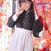 ヒメ日記 2025/05/08 06:36 投稿 ゆかり ニュー不夜城