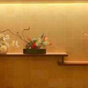 ヒメ日記 2025/05/22 07:56 投稿 ゆかり ニュー不夜城