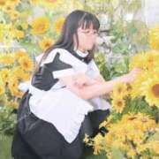 ヒメ日記 2025/07/17 06:36 投稿 ゆかり ニュー不夜城