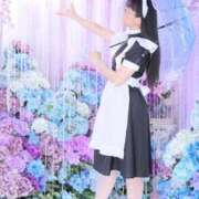 ヒメ日記 2025/07/23 13:06 投稿 ゆかり ニュー不夜城