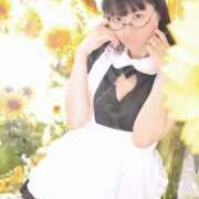 ヒメ日記 2025/07/24 15:56 投稿 ゆかり ニュー不夜城