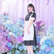 ヒメ日記 2025/07/28 07:06 投稿 ゆかり ニュー不夜城