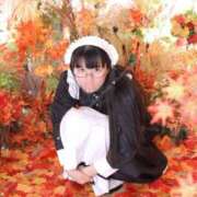 ヒメ日記 2025/09/03 18:46 投稿 ゆかり ニュー不夜城