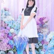 ヒメ日記 2025/09/18 06:26 投稿 ゆかり ニュー不夜城