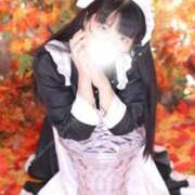 ヒメ日記 2025/11/02 14:26 投稿 ゆかり ニュー不夜城