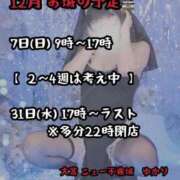 ヒメ日記 2025/11/24 06:56 投稿 ゆかり ニュー不夜城