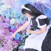 ヒメ日記 2025/12/24 08:26 投稿 ゆかり ニュー不夜城