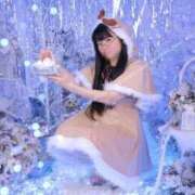 ゆかり ゆっくり…ゆるる ニュー不夜城