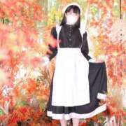 ゆかり 12/31は19時10分〜80分まで🉑 ニュー不夜城