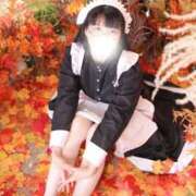 ヒメ日記 2026/03/09 19:16 投稿 ゆかり ニュー不夜城