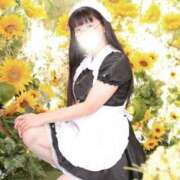 ヒメ日記 2026/04/12 06:36 投稿 ゆかり ニュー不夜城