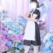 ヒメ日記 2026/04/23 07:46 投稿 ゆかり ニュー不夜城