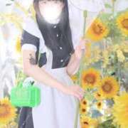 ヒメ日記 2026/05/16 07:26 投稿 ゆかり ニュー不夜城