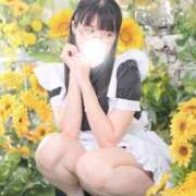 ヒメ日記 2026/05/29 07:36 投稿 ゆかり ニュー不夜城