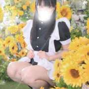 ヒメ日記 2026/07/13 09:57 投稿 ゆかり ニュー不夜城