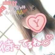 ゆずれもん 来週いよいよ！ 新宿サンキュー