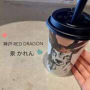 ヒメ日記 2024/08/08 18:03 投稿 泉 かれん 神戸RED DRAGON