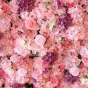 ヒメ日記 2025/02/13 12:56 投稿 ななか カクテル静岡駅前店