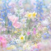 ヒメ日記 2025/03/06 21:56 投稿 ななか カクテル静岡駅前店