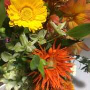 ヒメ日記 2025/05/13 12:36 投稿 ななか カクテル静岡駅前店