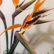 ヒメ日記 2025/05/20 21:56 投稿 ななか カクテル静岡駅前店