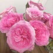 ヒメ日記 2025/06/17 17:36 投稿 ななか カクテル静岡駅前店