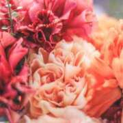 ヒメ日記 2025/06/22 22:26 投稿 ななか カクテル静岡駅前店