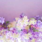 ヒメ日記 2025/08/19 19:26 投稿 ななか カクテル静岡駅前店