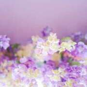 ヒメ日記 2025/10/09 18:34 投稿 ななか カクテル静岡駅前店